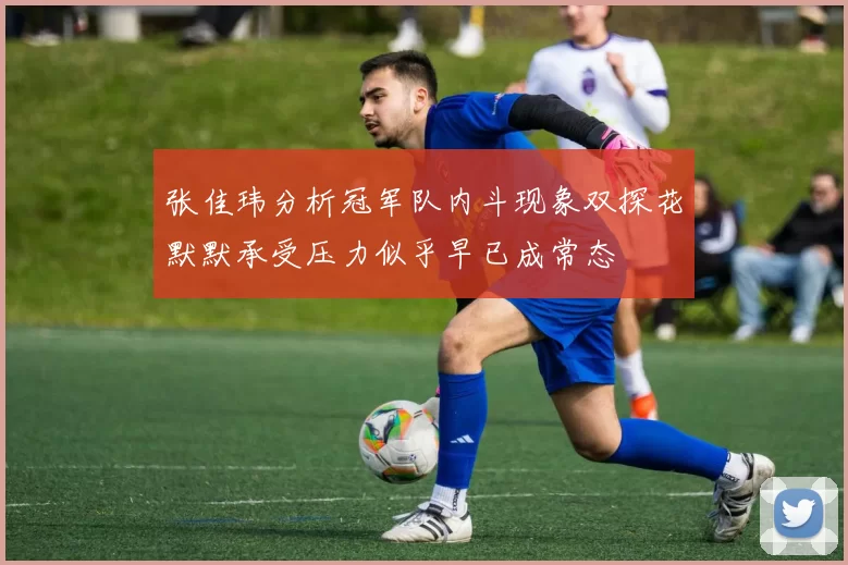 张佳玮分析冠军队内斗现象双探花默默承受压力似乎早已成常态